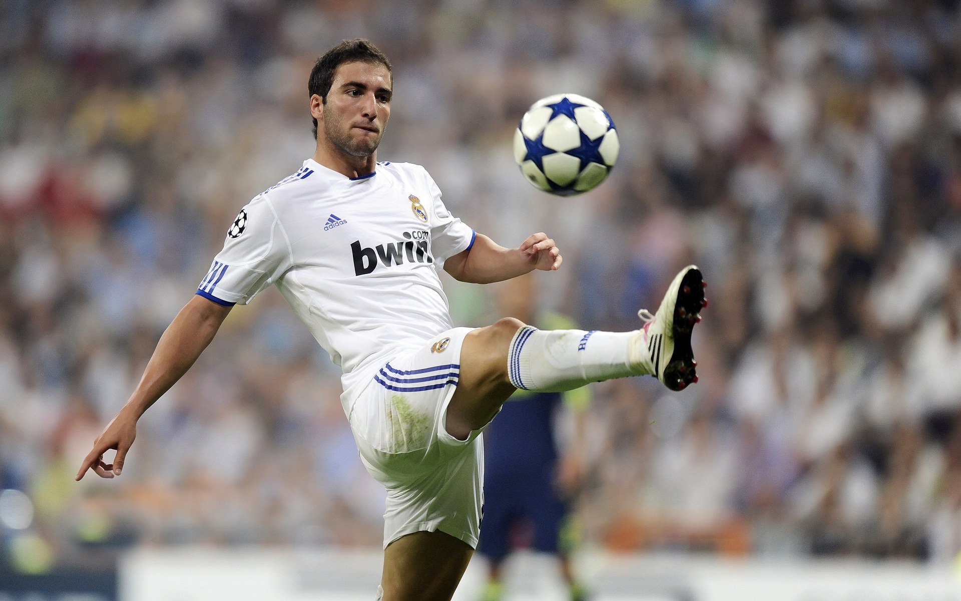 为梦想拼尽全力的中国男篮,中国男篮燃动十年全程